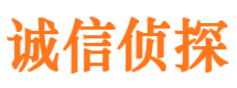 元宝市婚外情调查